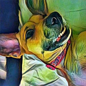 Meet your Posher, Deanne